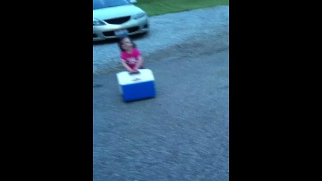 Precious Tot Girl Carries A Cooler