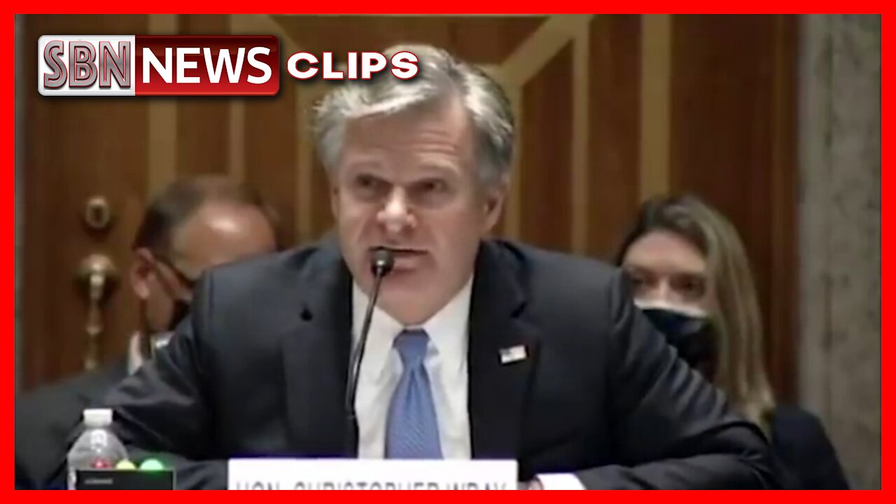 Ron Johnson Grills FBI's Christopher Wray - 3927