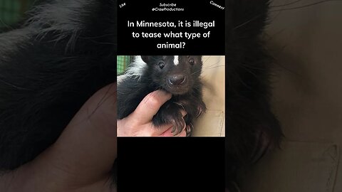 Minnesota