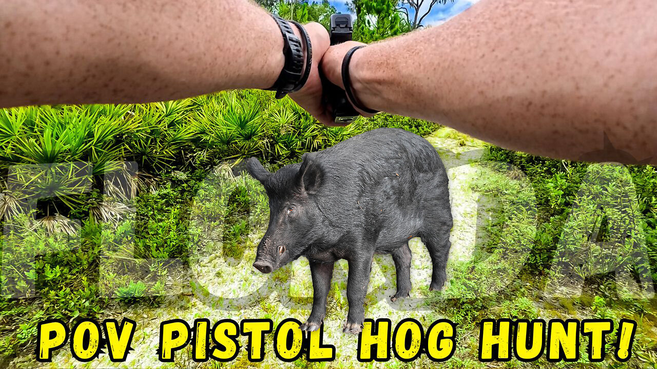 POV PISTOL HOG HUNT!