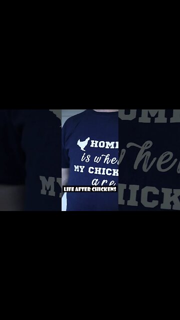 Life before & after CHICKENS #backyardflock #chickens #shorts