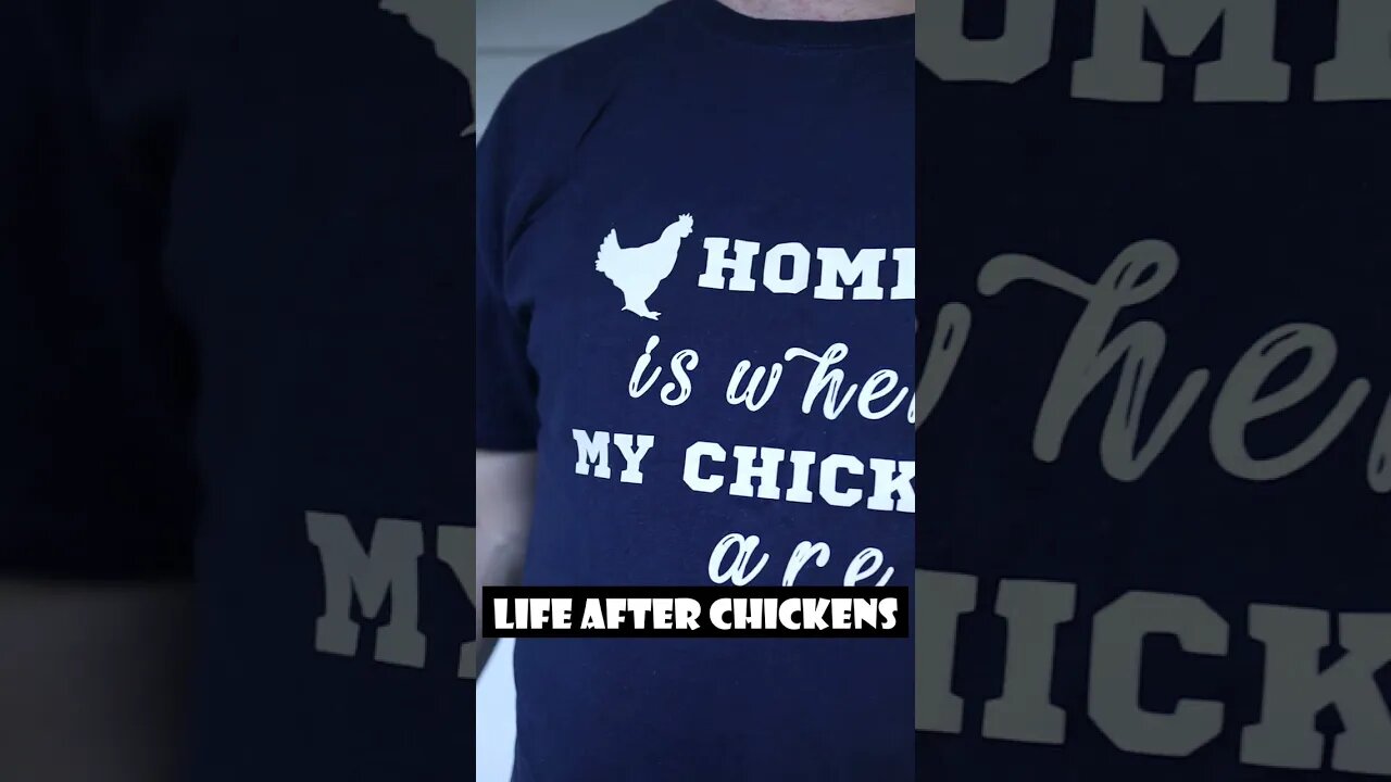 Life before & after CHICKENS #backyardflock #chickens #shorts