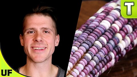 Cherokee White Eagle Corn Taste Test | Unusual Foods