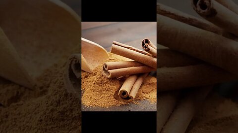 #Shorts | दालचीनी | Cinnamon | Kheti Power