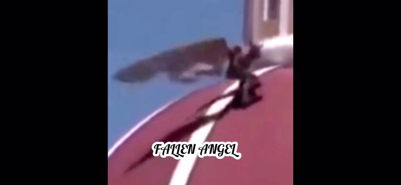 🚨Fallen Angel Or What…..? 🚨Caught In Europe🚨