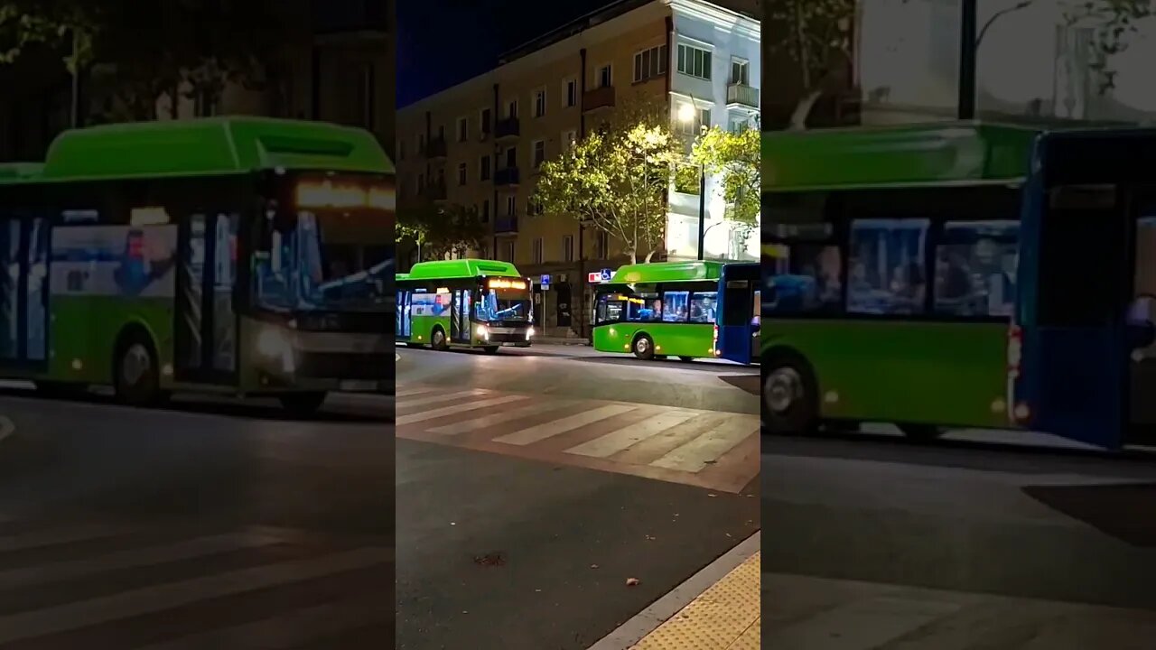 Tbilisi Buses #shorts