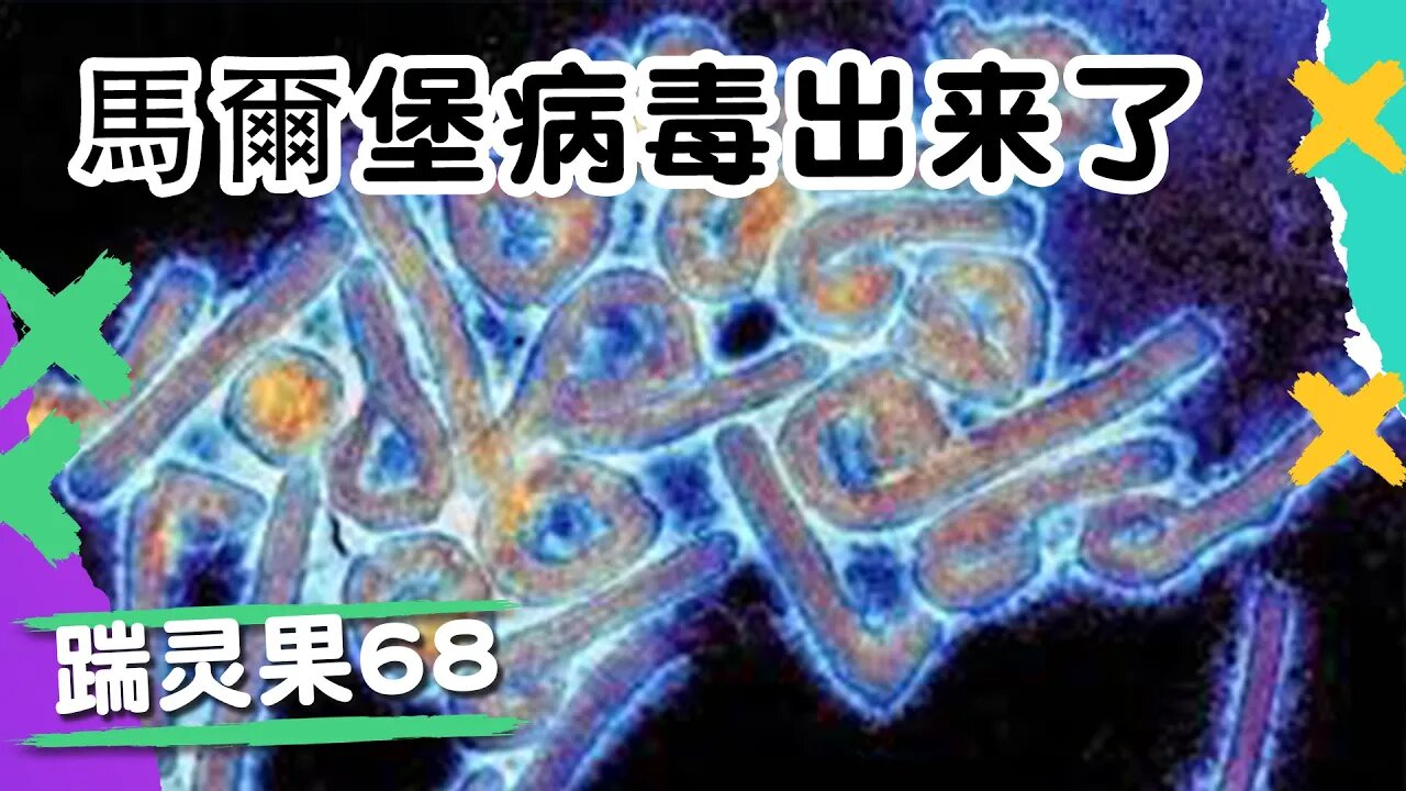 踹零果68:馬爾堡病毒和殭屍病毒來了;跟著美國議員投資發大財