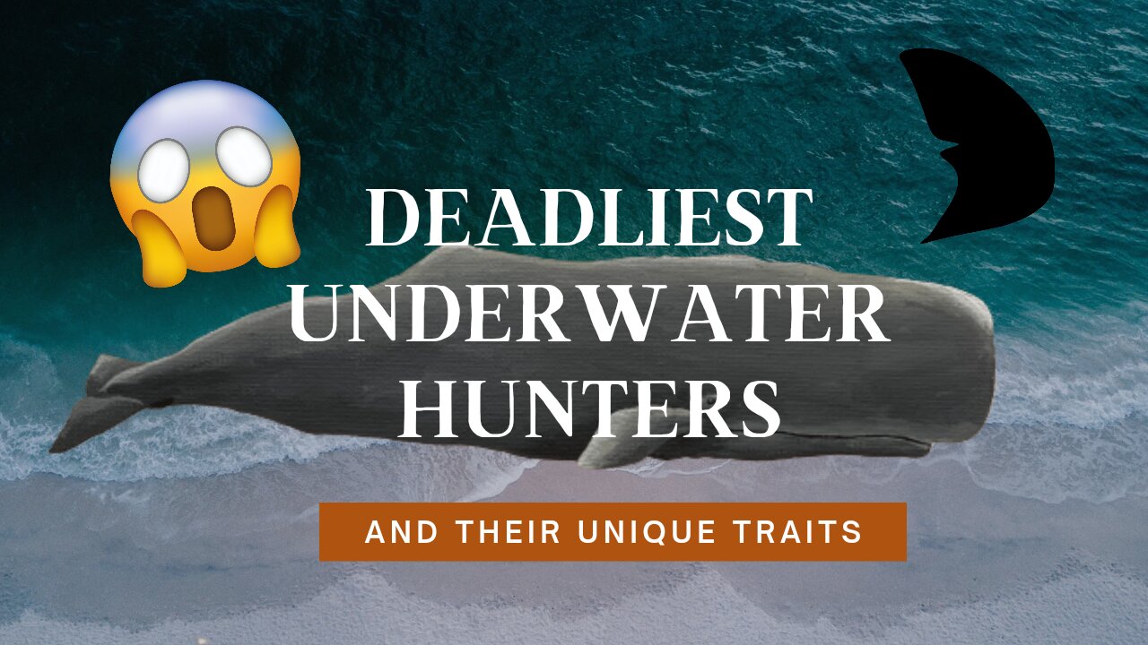 Deadliest Underwater Hunter