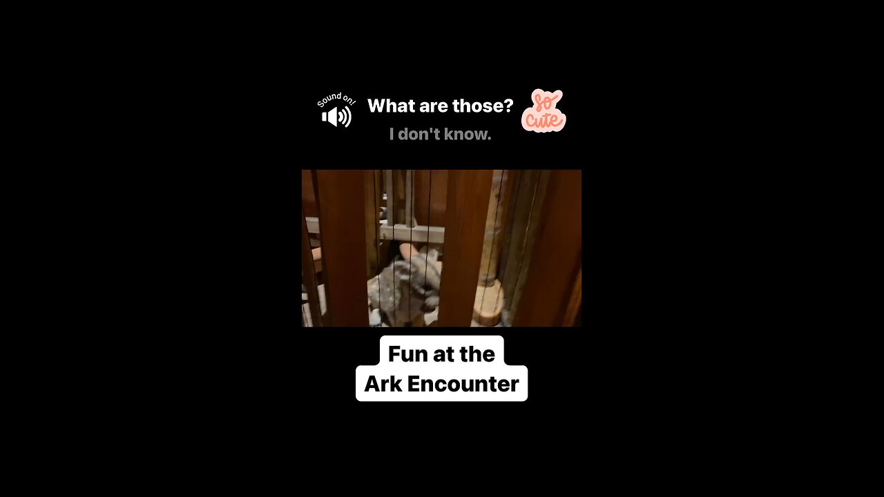 Need a reason to visit the ark encounter? #shorts #christianshorts #christiantravel