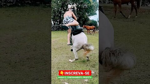 Cavalo tá bruto, olha isso 🙄 #shorts #peao #cavalo #boiadeiro #arabe #agro #roça #fazenda #animals