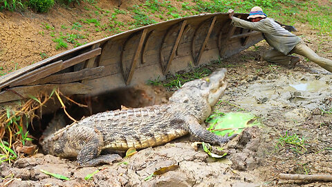 It can't believe underground fishing crocodile & Cat fish by Hand