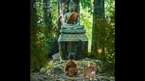 The Power Within ☯️