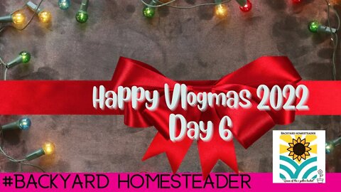 Vlogmas 2022 Day 6