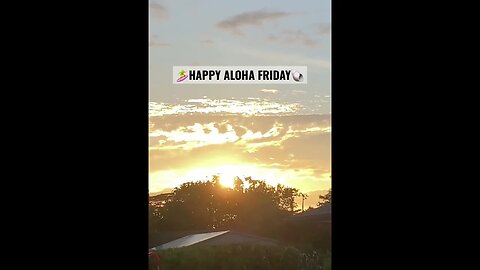 Happy Aloha Friday