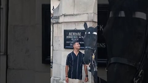 Move what mooove #horseguardsparade