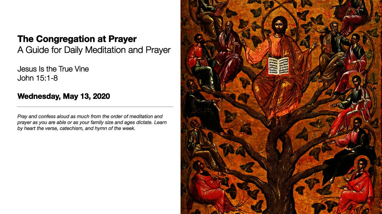 Jesus Is the True Vine - The Congregation at Prayer for May 13, 2020