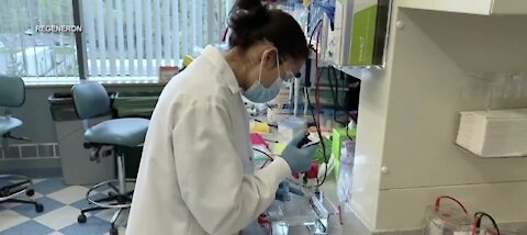 Antibody drug being tested for COVID-19 treatment in Vegas