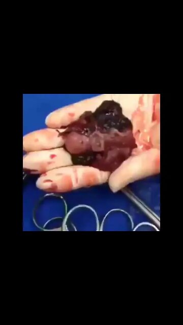 23 de fevereiro de 2022