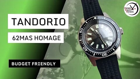 Budget Tandorio 62MAS Homage Review #HWR