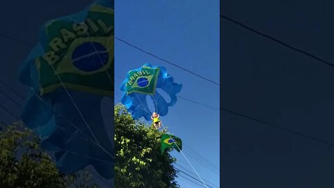 Pipa Paraquedinha torcendo pro Brasil #shorts