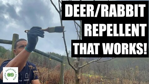 Tree Pruning with Deer and Rabbit Repellent