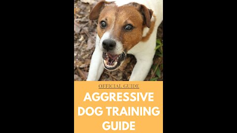 With Few Simple Steps Your Dog Will Become Fully Aggressive