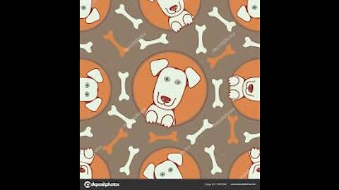 Bichon frise puppies video lovely and cutest puppy mini bichon videos - Teacup puppies