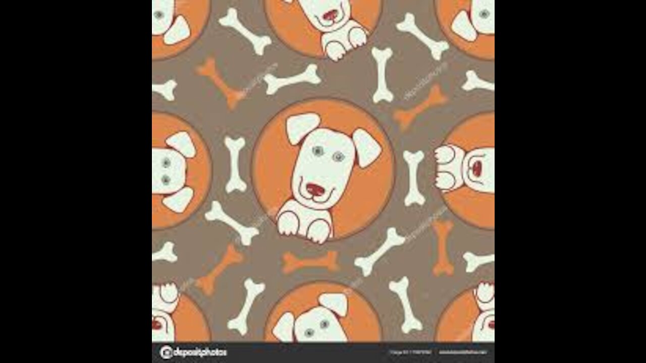 Bichon frise puppies video lovely and cutest puppy mini bichon videos - Teacup puppies