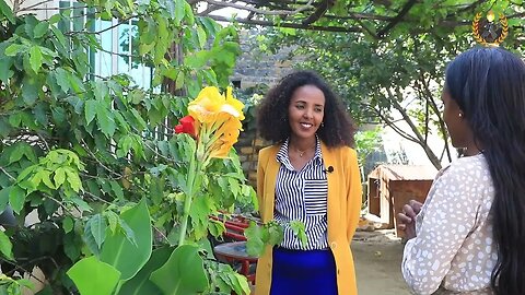 #Dedebit | ውሕስና ምግቢ ትግራይ ንምርግጋጽ ኩሉ ማሕበረሰብና ክኽተሎ ዝግባእ ወሳኒ ተግባር | September 19/2023