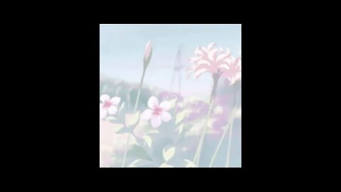 M-taku - Quietly [K u s h i m o t o C a f é カフ🌊☕]