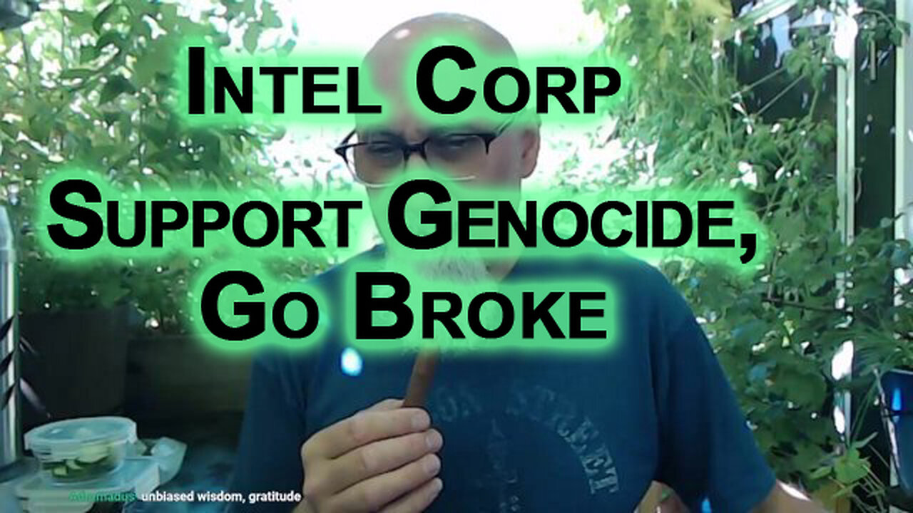 Intel Corp Collapsing Year After Ramping Up Investment in Zionist Israel: Support Genocide, Go Broke