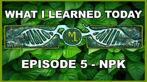 What I learned Today - Ep5 - NPK