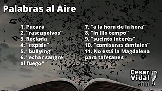 Palabras al aire - 29/05/23