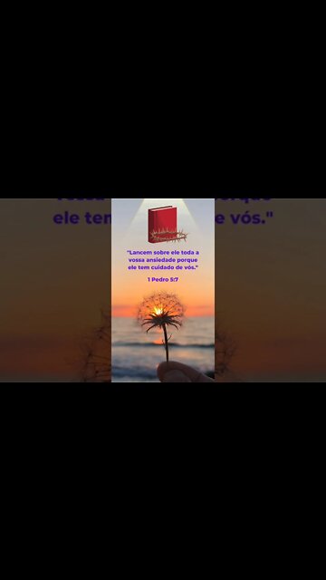 VERSÍCULO DO DIA 17/11/2022.#shorts