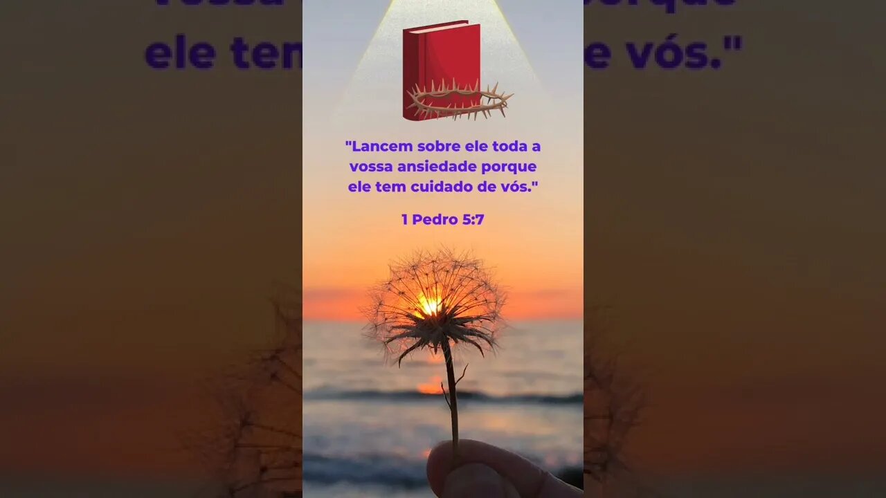 VERSÍCULO DO DIA 17/11/2022.#shorts