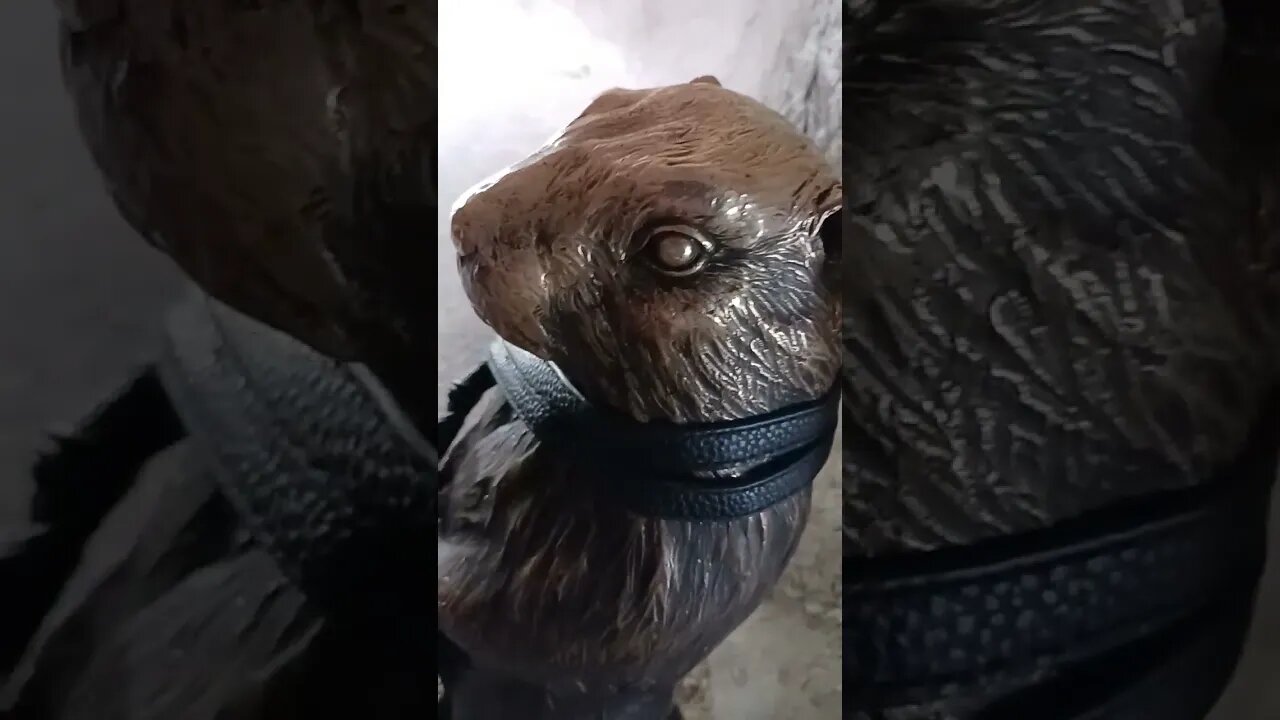 #viral #animalsvideo #shorts