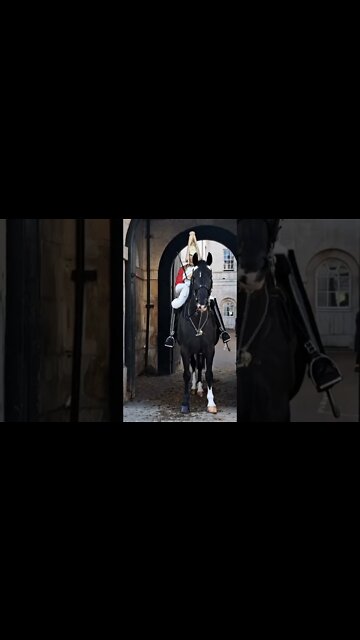 Horse has some thing to say #horseguardsparade