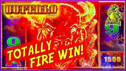 WE TURNED $20 INTO WHAT!?! FUN BIG WIN! Buffalo Link Slot BONUS BONUS BONUS!