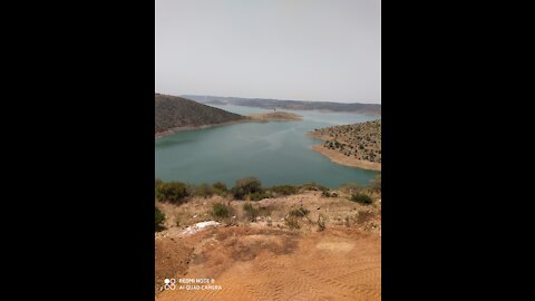 The best funny clips 2020