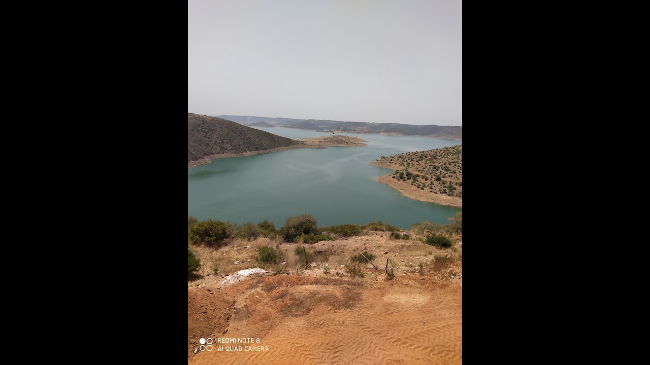 The best funny clips 2020