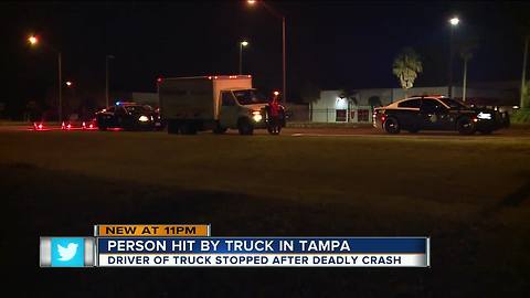 Pedestrian dies after being struck by mirror of vehicle in Tampa