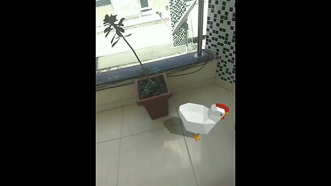 criar galinha em casa