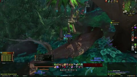 World of Warcraft Dragonflight Release the Hounds