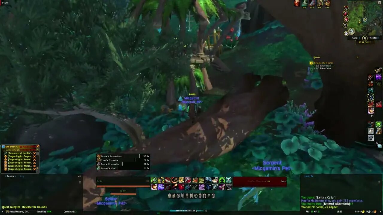 World of Warcraft Dragonflight Release the Hounds