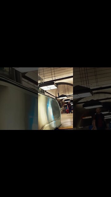Cathédrale-like metro station #montreal #viralvideo #travel