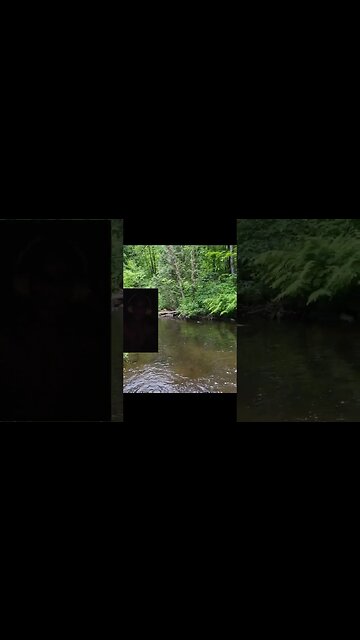 #motivational #ytshortscanada #ytshortsvideo