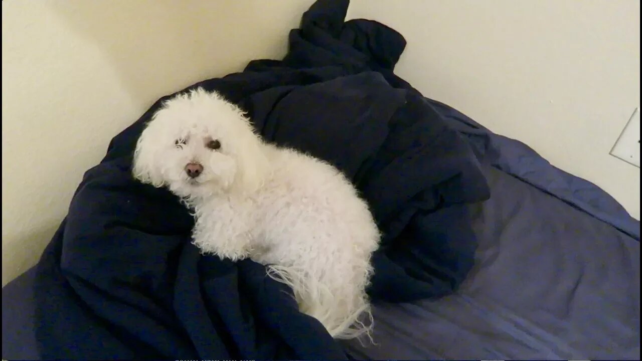 He's Starting to Like His New Home!