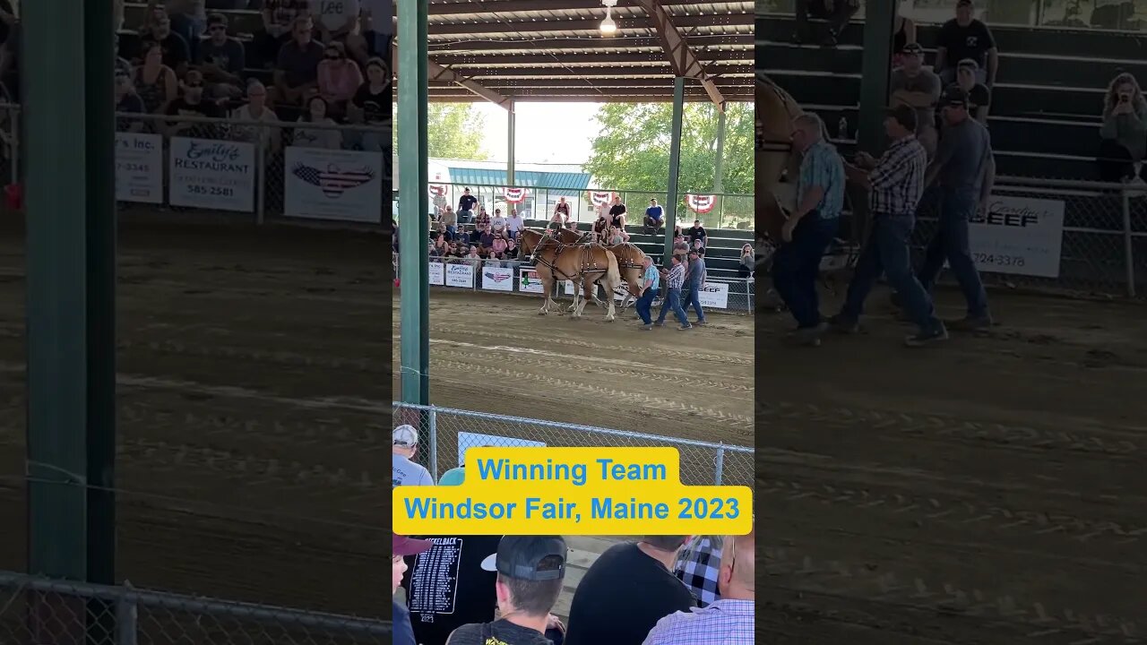Windsor Fair, Horse Pull, 2023 Winning Team Part 1
