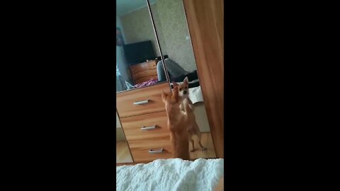 Who's That On The Mirror, Archi?