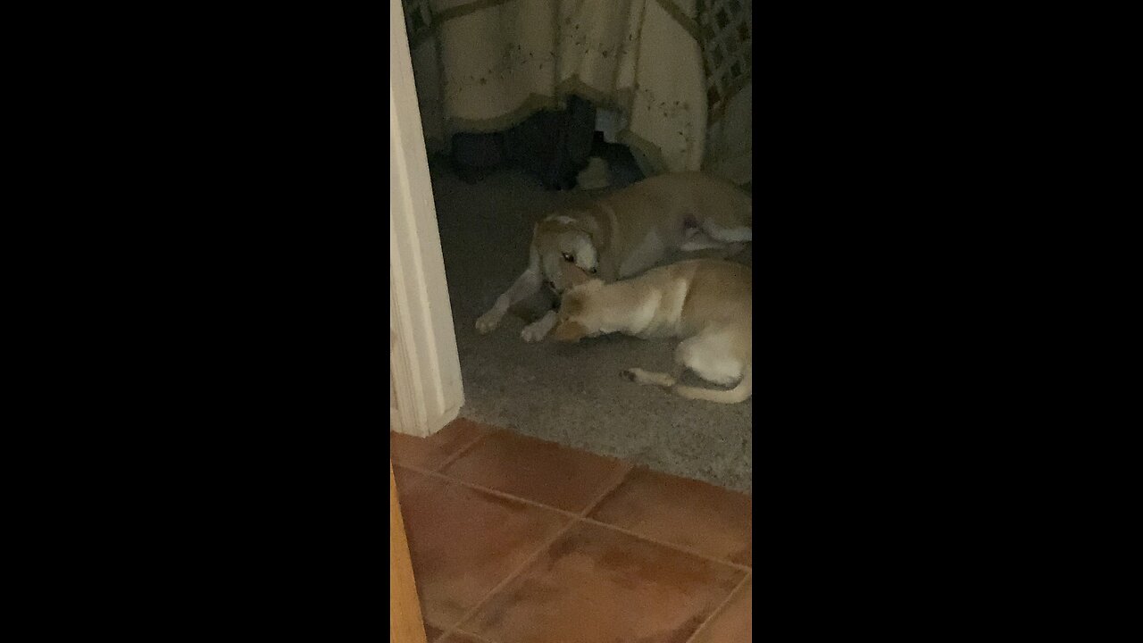 When you get in a fight and start making out